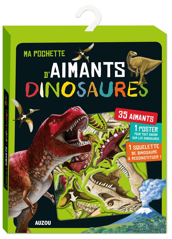 Ma première pochette d'aimants : ma pochette d'aimants dinosaures (2e édition) - flash vidéo
