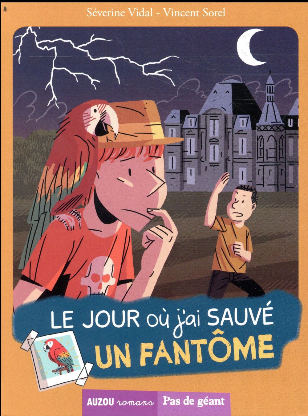 Le jour où j'ai sauvé un fantôme - flash vidéo