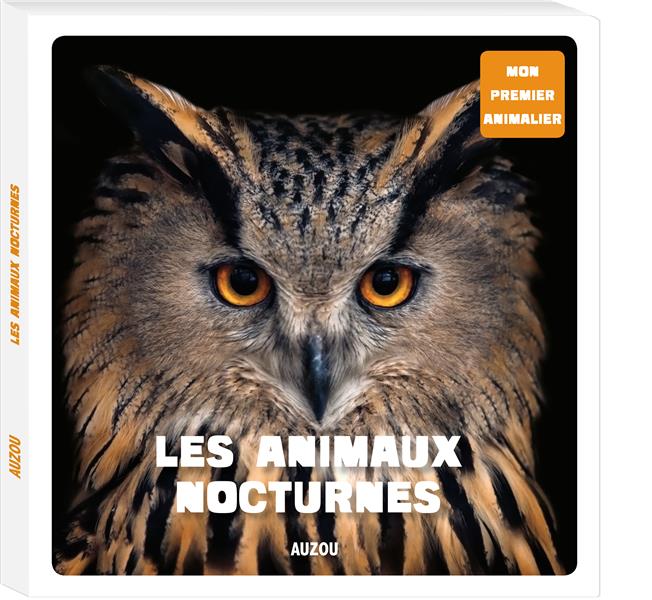 Les animaux nocturnes - flash vidéo