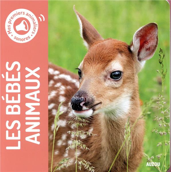 Mes premiers animaliers sonores : les bébés animaux - flash vidéo