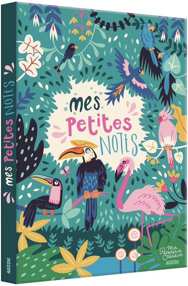 Mes petites notes - flash vidéo