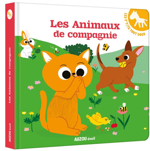 Les animaux de compagnie - flash vidéo