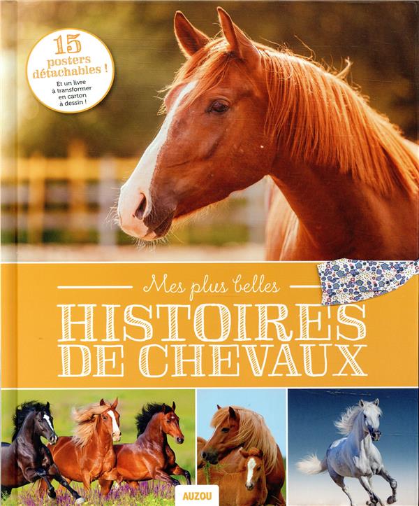 Mes plus belles histoires de chevaux - flash vidéo