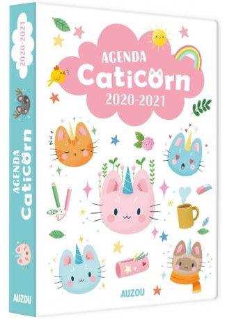 Agenda I am a caticorn (édition 2020/2021) - flash vidéo