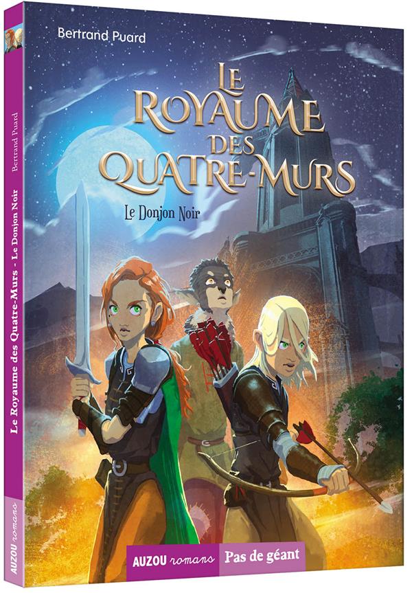 Le royaume des quatre-murs Tome 1 : le donjon noir - flash vidéo
