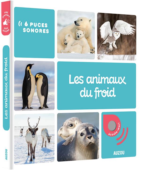 Les animaux du froid - flash vidéo