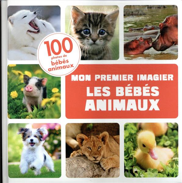 Les bébés animaux - flash vidéo