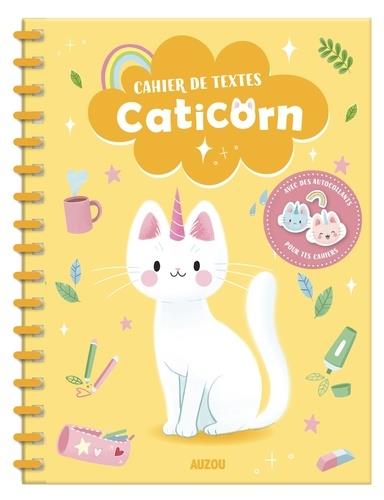 Cahier de textes : caticorn - flash vidéo