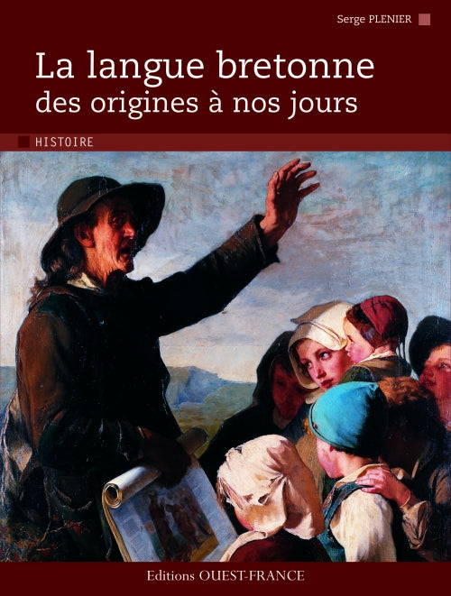 Langue bretonne des origines à nos jours - flash vidéo