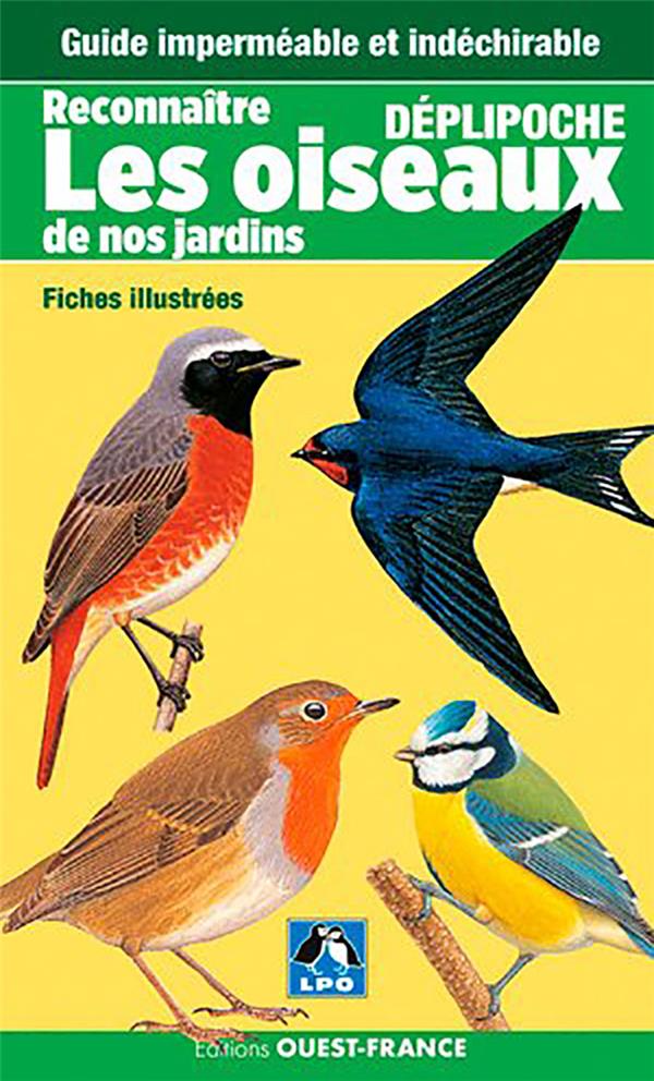 Deplipoche - reconnaitre les oiseaux du jardin - flash vidéo