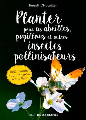 Planter pour les abeilles, papillons et autres insectes pollinisateurs - flash vidéo