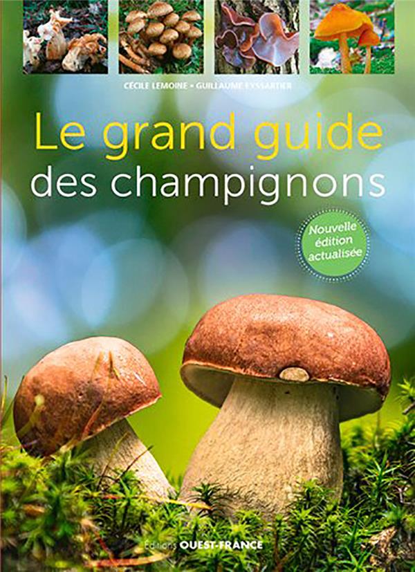 Le grand guide des champignons - flash vidéo