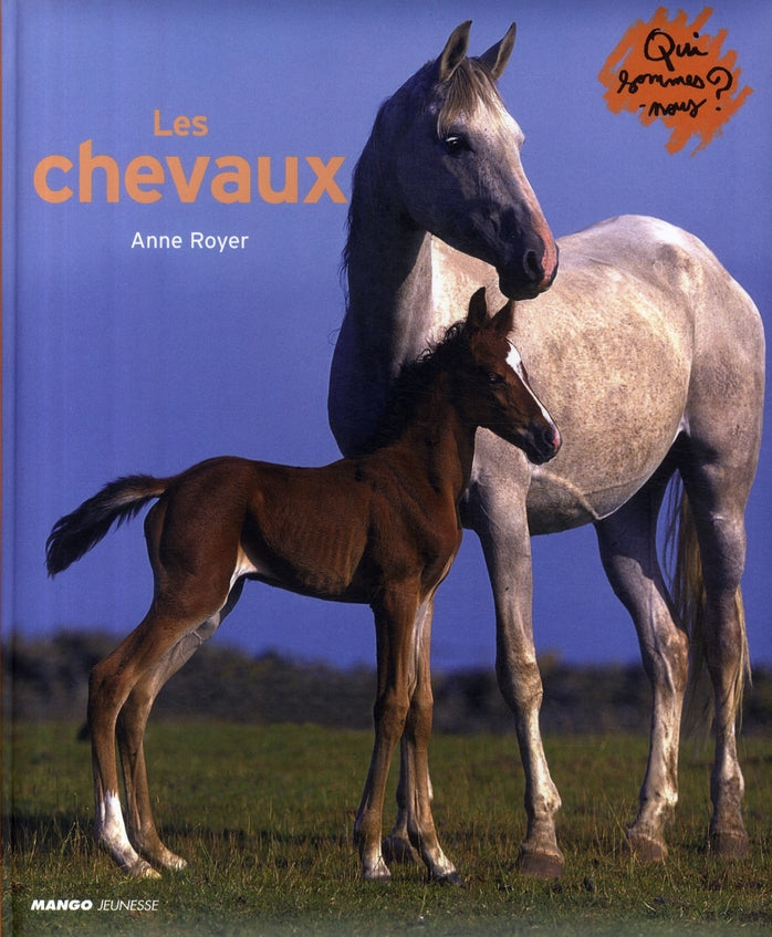 Les chevaux - flash vidéo