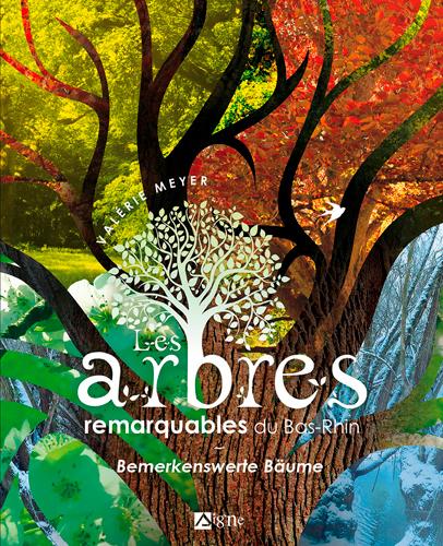 Les arbres remarquables du Bas-Rhin - flash vidéo