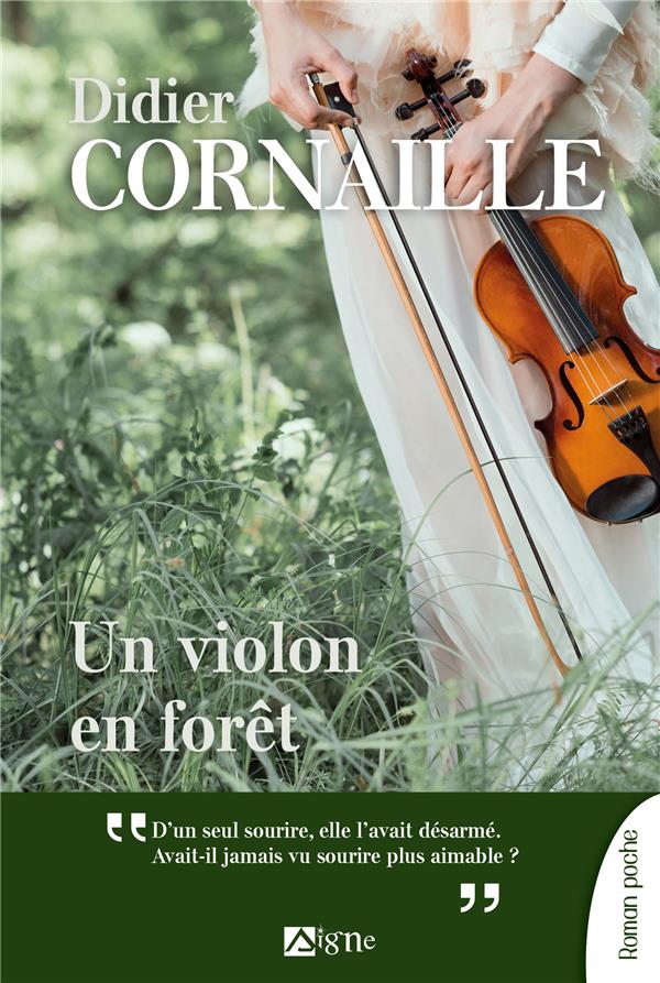Un violon en forêt - flash vidéo
