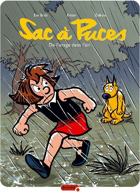 Sac à puces t.7 ; de l'orage dans l'air - flash vidéo