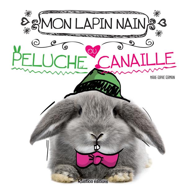 Mon lapin nain ; peluche ou canaille ? - flash vidéo