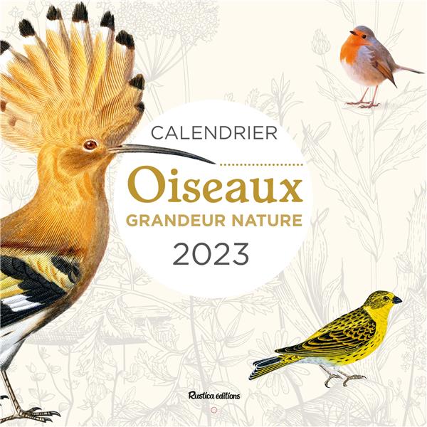 Calendrier oiseaux grandeur nature (édition 2023)