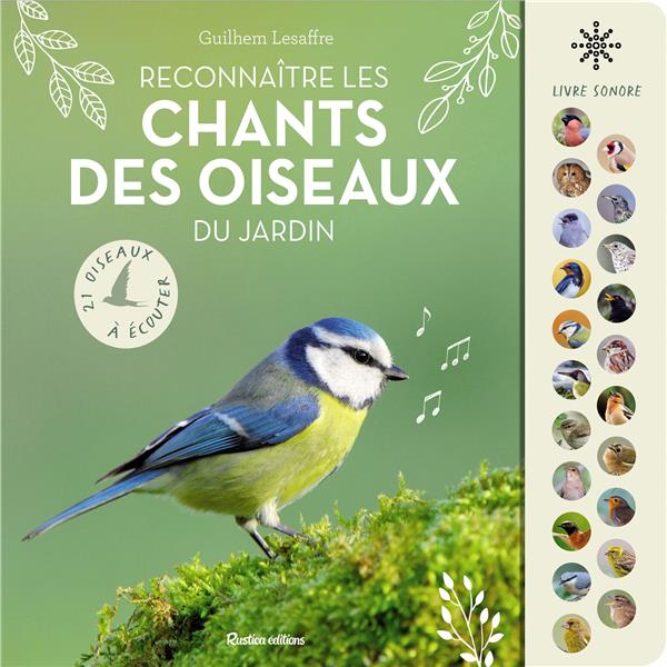 Reconnaître les chants des oiseaux du jardin : 21 oiseaux à écouter - flash vidéo