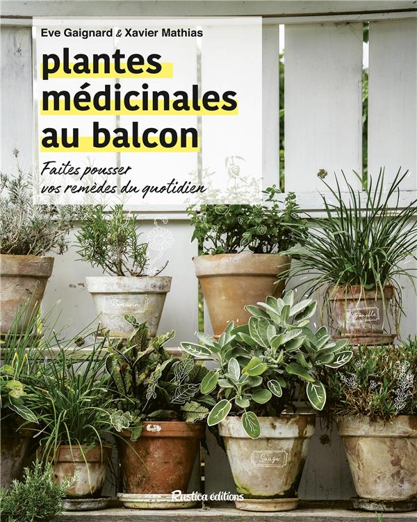 Plantes médicinales au balcon : faîtes pousser vos remèdes du quotidien