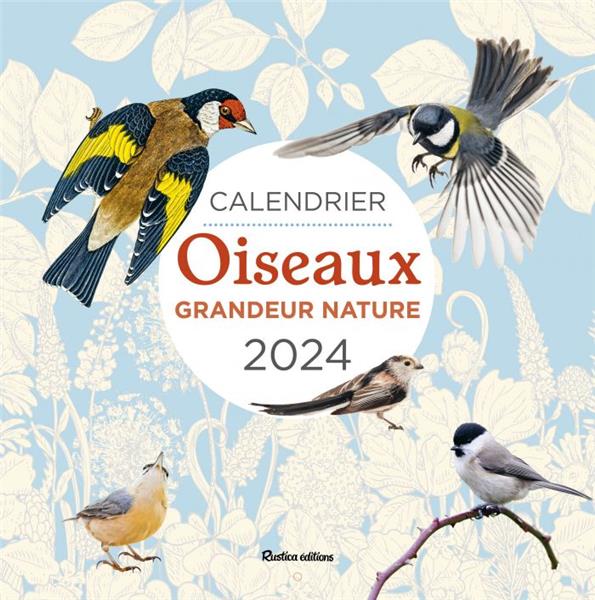 Calendrier mural oiseaux grandeur nature (édition 2024)