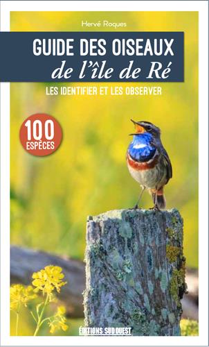 Guides des oiseaux de l'île de Ré - flash vidéo