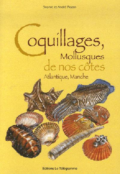 Coquillages de nos cotes (atlantique man - flash vidéo
