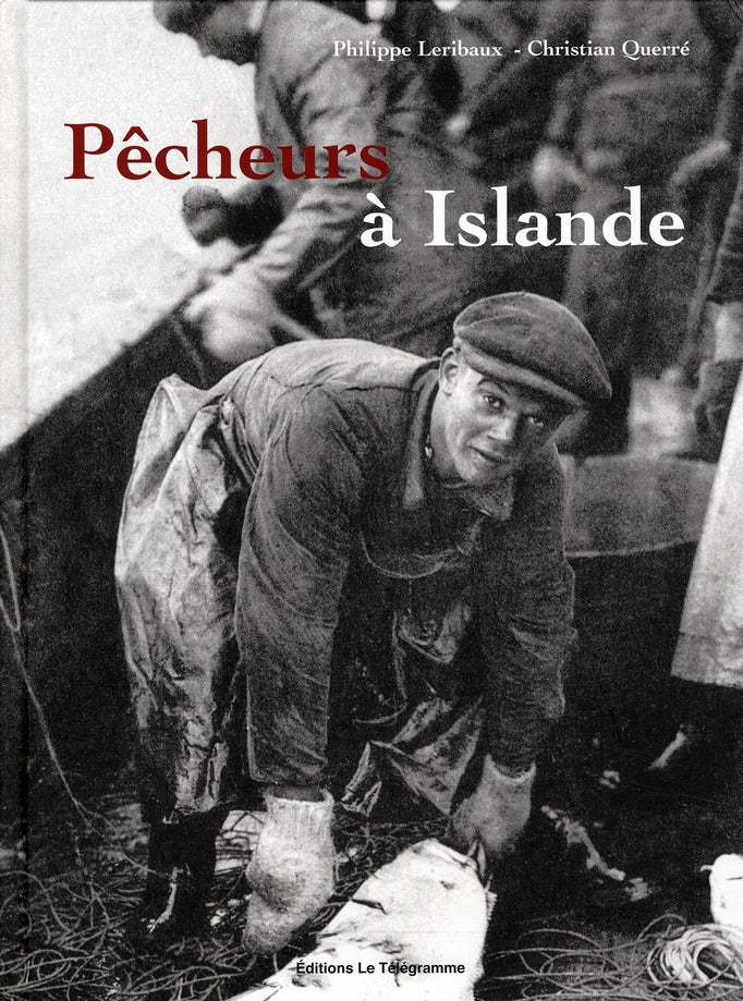 Pêcheurs à Islande - flash vidéo
