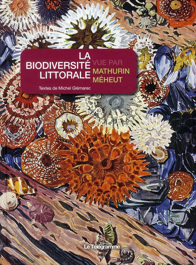 La biodiversité littorale vue par Mathurin Méheut - flash vidéo