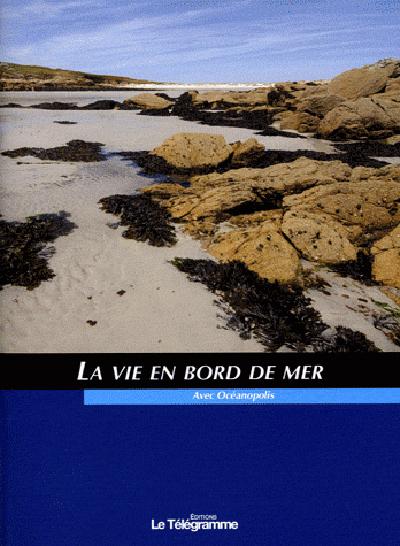 La vie en bord de mer - flash vidéo