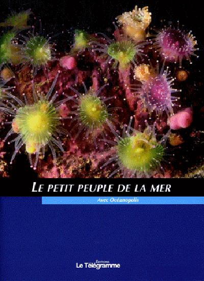 Mileiux marina ; du phytoplancton aux algues marines - flash vidéo