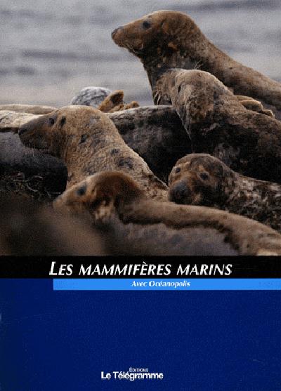 Les mammifères marins - flash vidéo