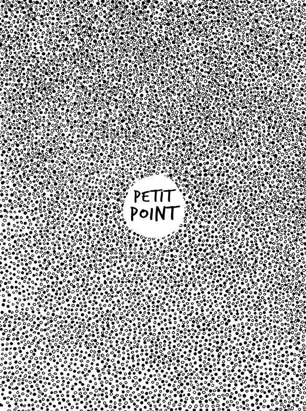 Petit point - flash vidéo