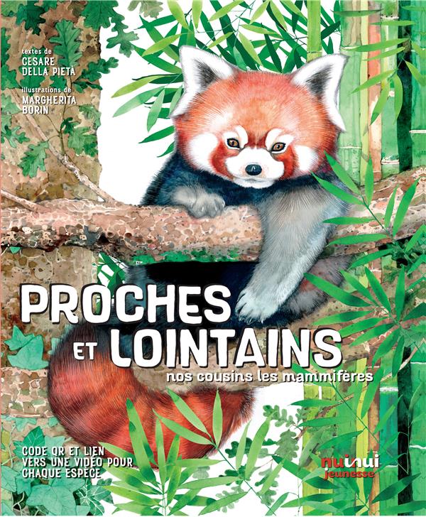 Proches et lointains : nos cousins les mammifères - flash vidéo