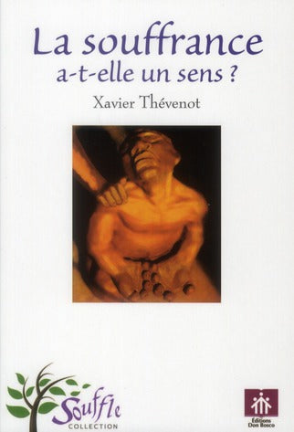 LA SOUFFRANCE A-T-ELLE UN SENS ? - flash vidéo
