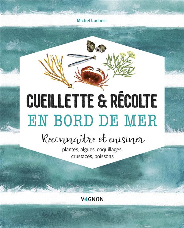 Cueillette & récolte en bord de mer ; reconnaitre et cuisiner : algues, plantes, coquillages, crustacés, poissons - flash vidéo