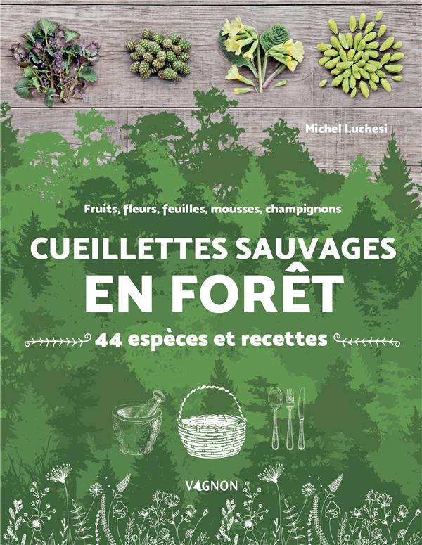 Cueillettes sauvages en forêt : 44 espèces et recettes