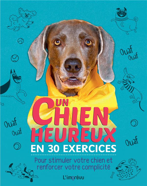 Un chien heureux en 30 exercices : pour stimuler votre chien et renforcer votre complicité - flash vidéo