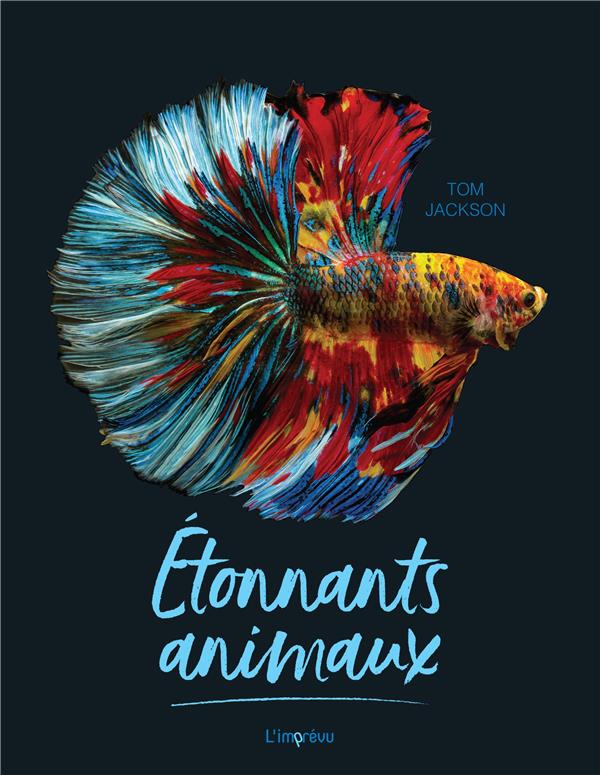 étonnants animaux - flash vidéo