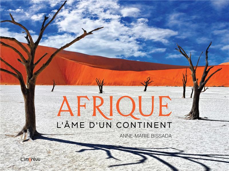 Afrique : l'âme d'un continent