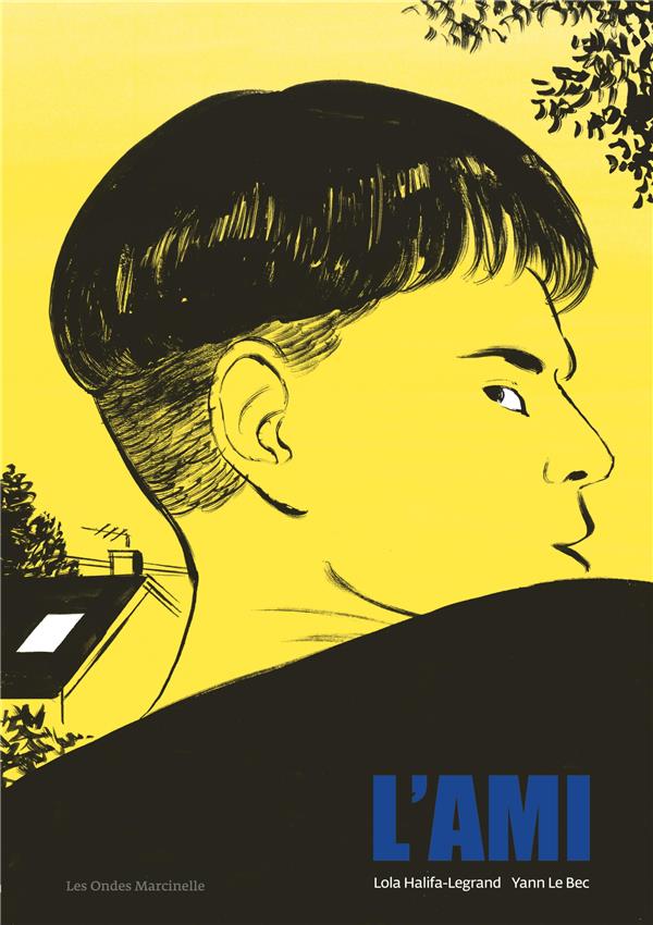 L'ami - flash vidéo