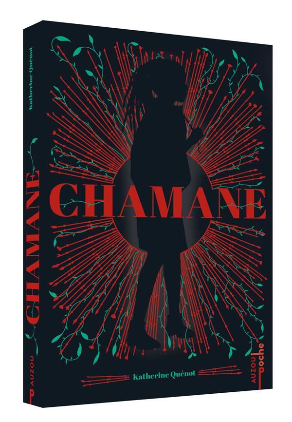 Chamane t.1 - flash vidéo