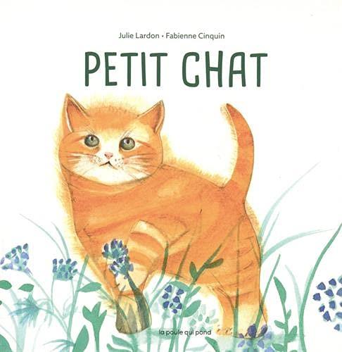 Petit chat - flash vidéo