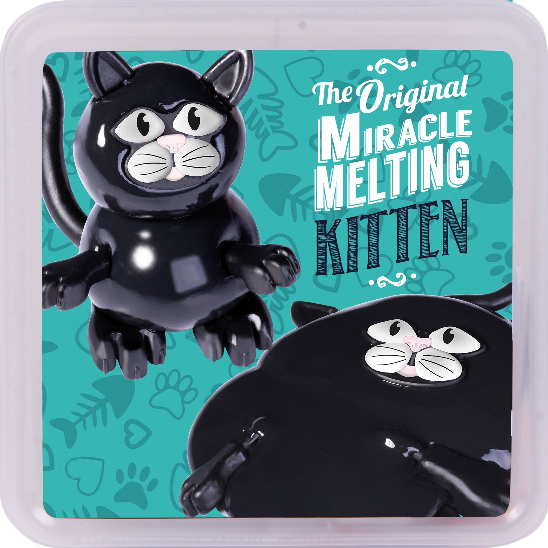Miracle Melting Kitten