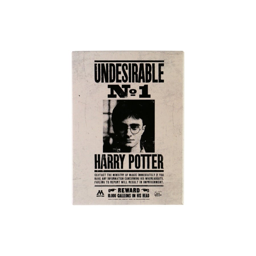 Harry Potter - Aimant en métal Undesirable No1