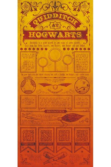 Harry Potter - Poster Lithographie Quidditch