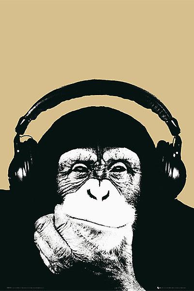 Steez Monkey - Maxi Poster