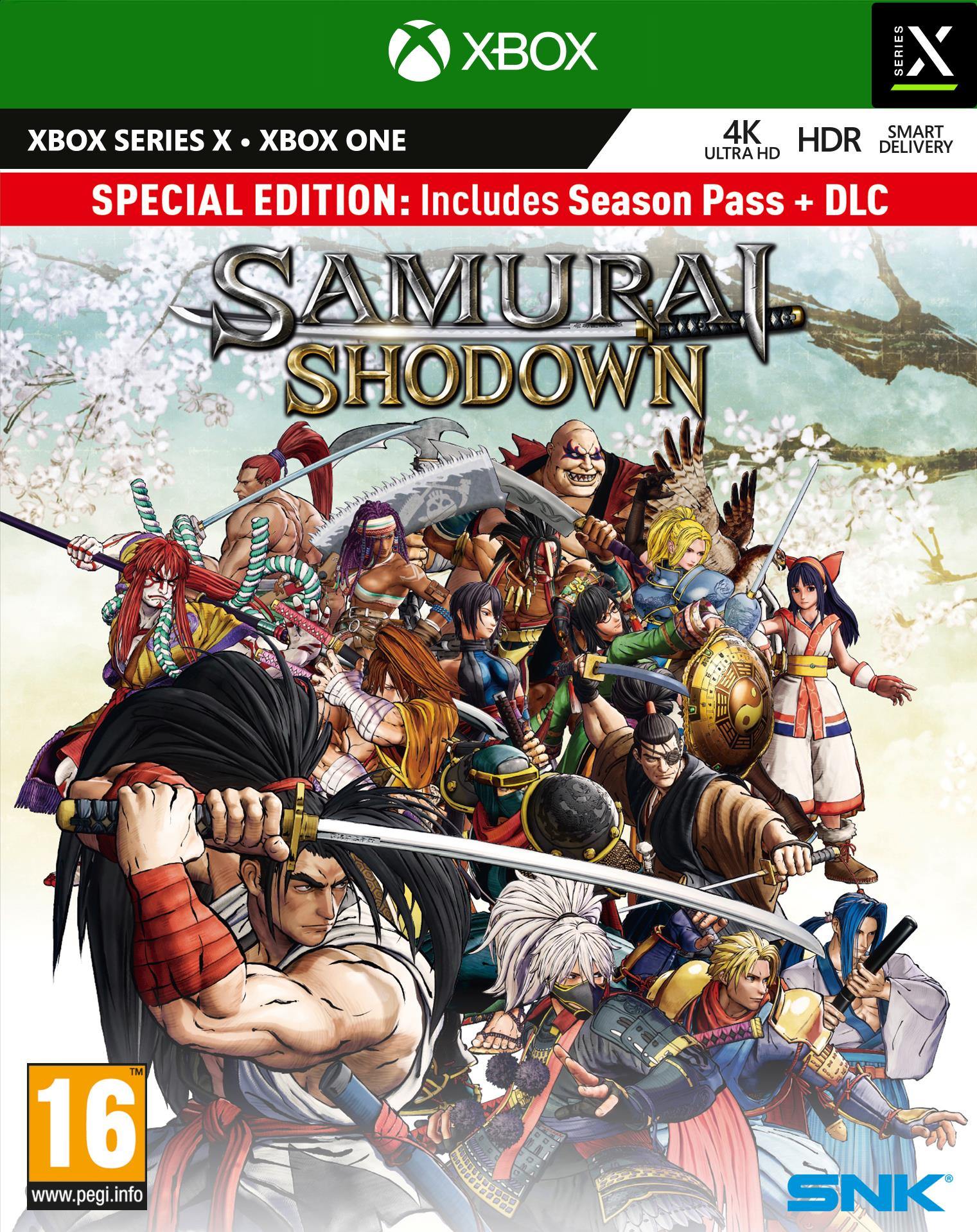 Samurai Shodown Special Edition - flash vidéo