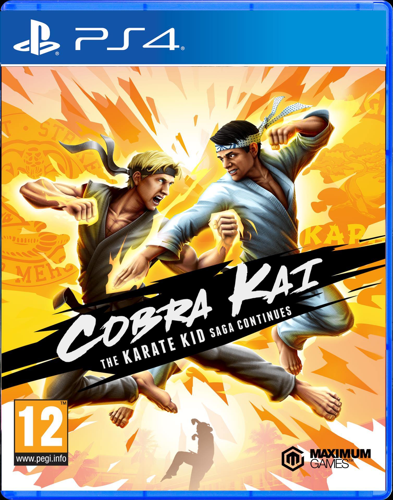 Cobra Kai The Karate Kid Saga Continues (PS4) - flash vidéo