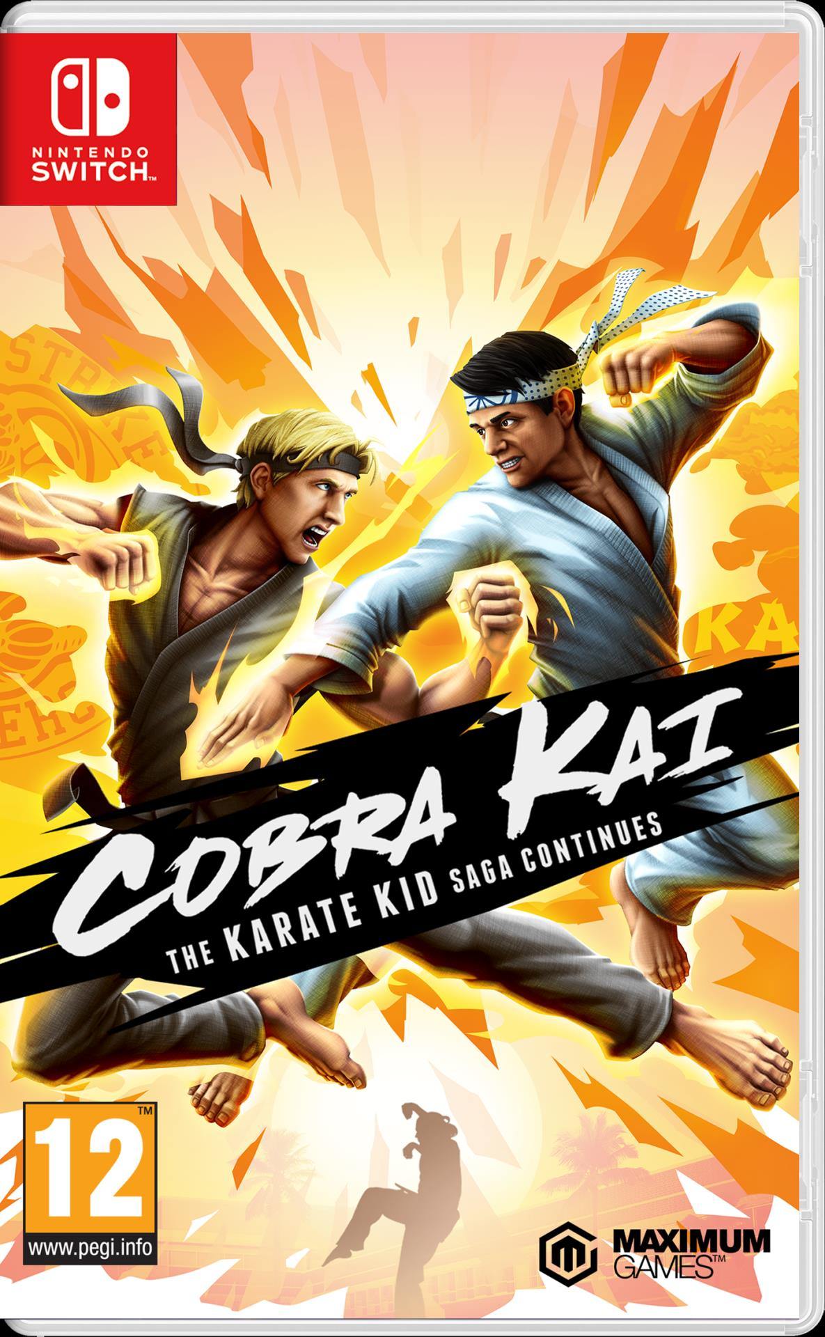 Cobra Kai The Karate Kid Saga Continues (Switch) - flash vidéo